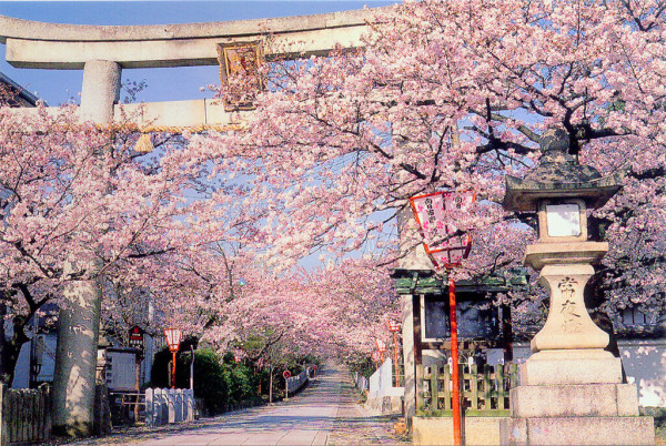 （圖片來源︰京都官方旅遊網站）