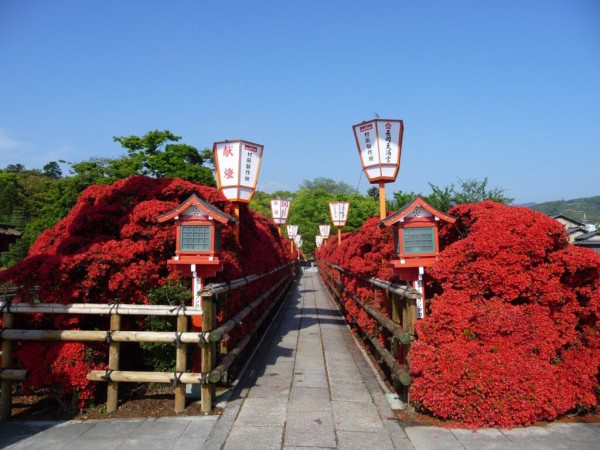 （圖片來源︰京都官方旅遊網站）