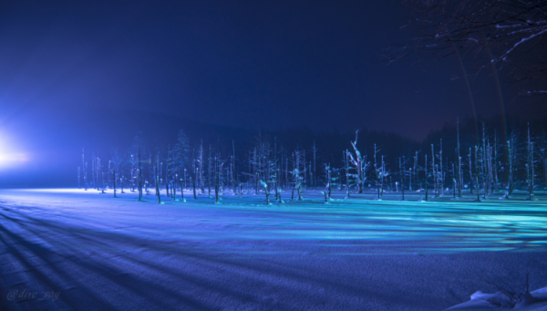 日本賞雪景點 北海道美瑛町（圖片來源：美瑛町觀光協會）