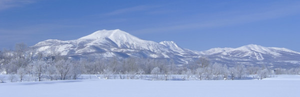 (圖片來源︰倶知安町官網) (圖片來源︰倶知安町官網)