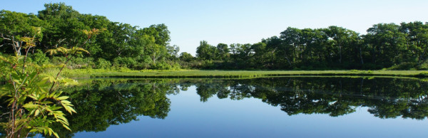 (圖片來源︰倶知安町官網) (圖片來源︰倶知安町官網)