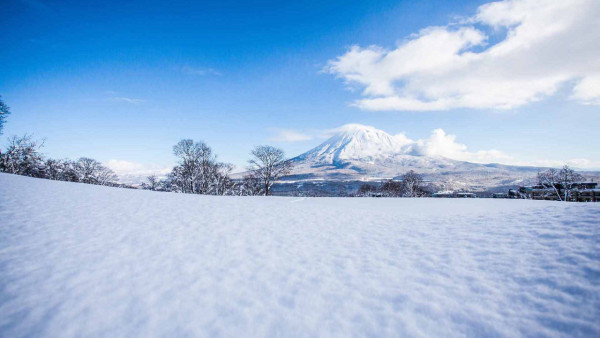 (圖片來源︰二世谷觀光協會) (圖片來源︰二世谷觀光協會)
