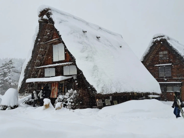 日本賞雪景點 岐阜縣白川鄉合掌村（圖片來源：Facebook@白川郷観光協会）