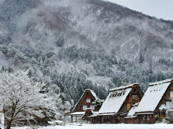 日本賞雪景點 岐阜縣白川鄉合掌村（圖片來源：Facebook@白川郷観光協会）