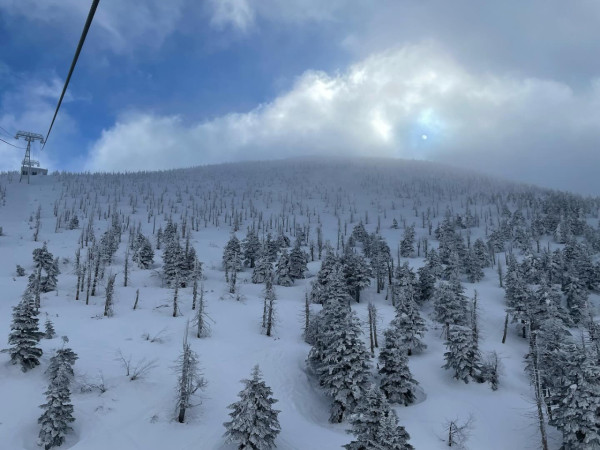 日本賞雪景點 山形縣藏王樹冰（圖片來源：Facebook@蔵王ロープウェイ）