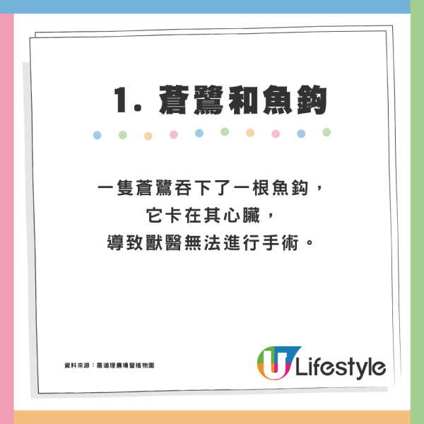 嘉道理農場迎來新成員！獼猴寶寶Sofia加入樂園「養母」悉心照顧