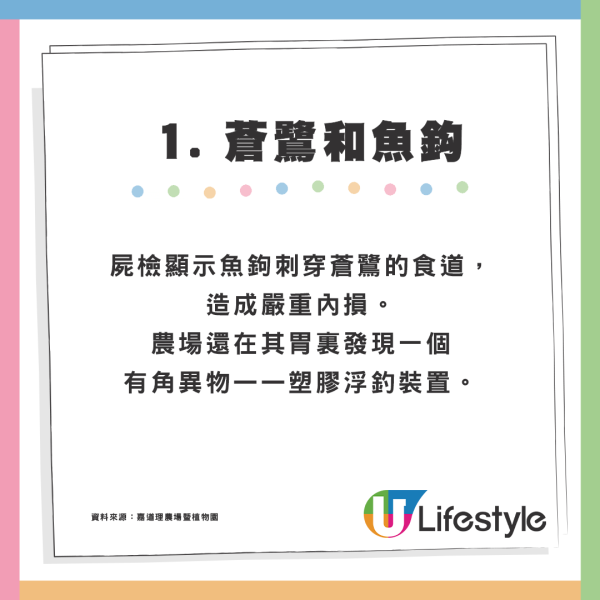 嘉道理農場迎來新成員！獼猴寶寶Sofia加入樂園「養母」悉心照顧