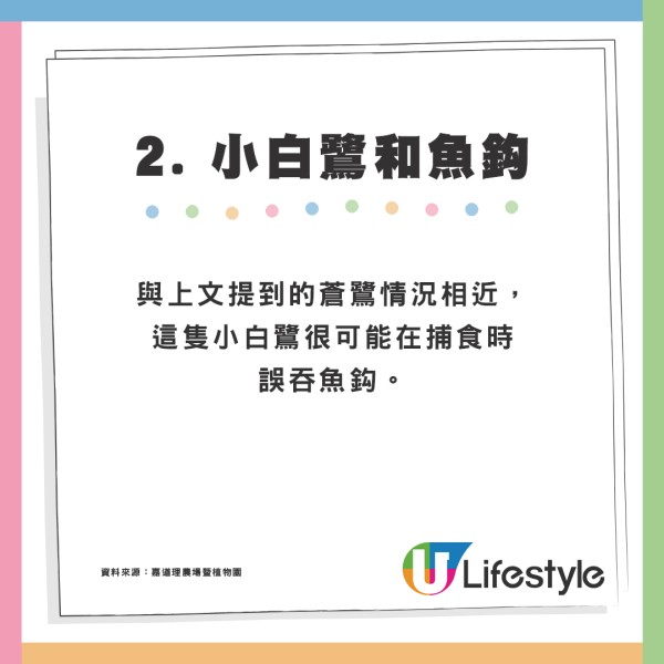 嘉道理農場迎來新成員！獼猴寶寶Sofia加入樂園「養母」悉心照顧