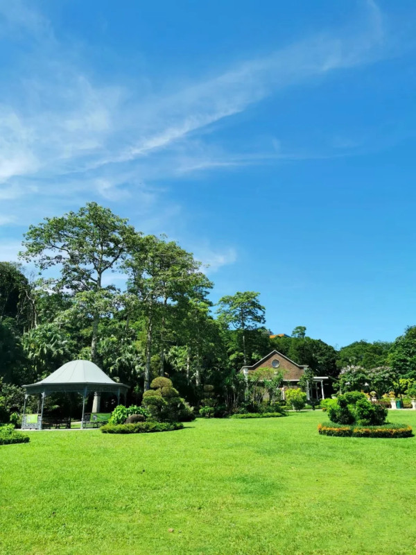 香港山頂好去處