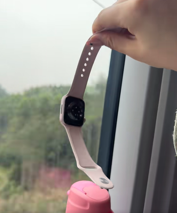 內地興起Apple Watch黐高鐵車窗！實試手錶慘被「分屍」揭1原因吸玻璃？