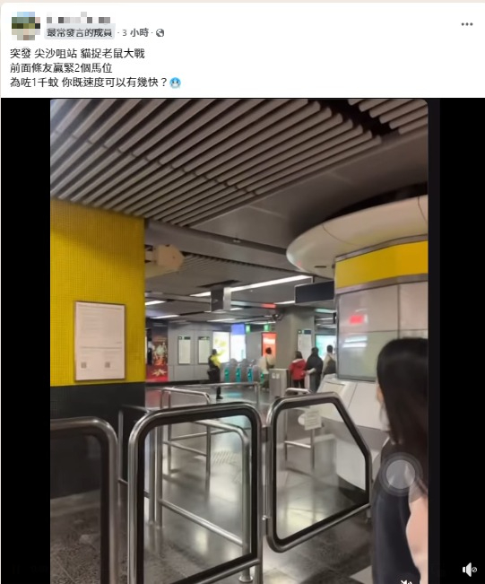 港鐵站職員乘客「貓捉老鼠」 跑步速度成焦點！港鐵回應曝內情