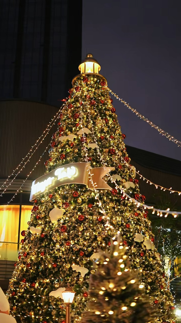 東莞聖誕氣氛好過香港？巨型打卡聖誕樹/市集人山人海 網民：擠不進去 