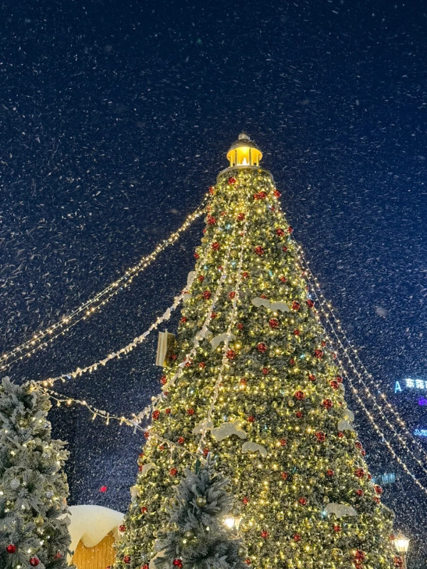 東莞聖誕氣氛好過香港？巨型打卡聖誕樹/市集人山人海 網民：擠不進去 