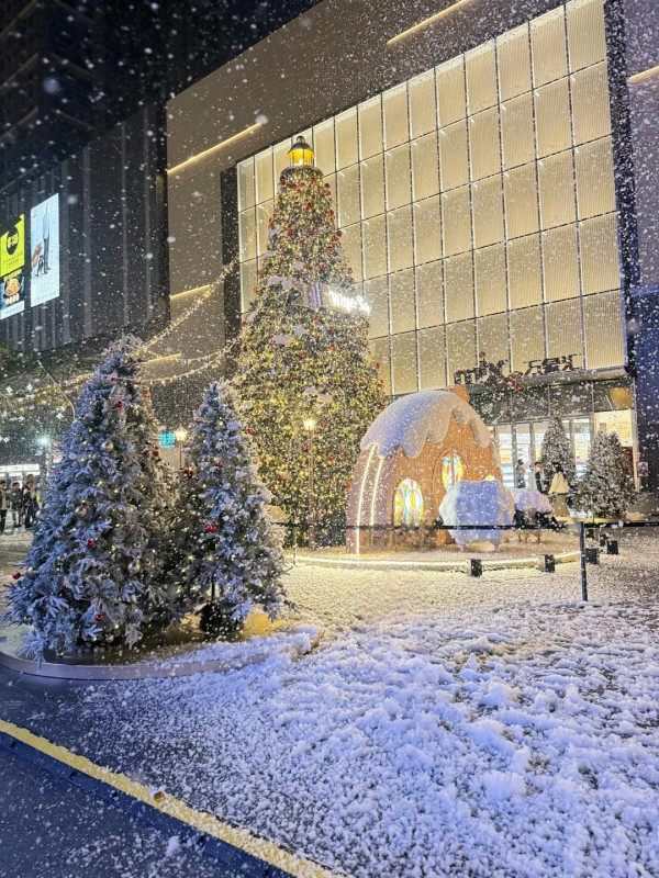 東莞聖誕氣氛好過香港？巨型打卡聖誕樹/市集人山人海 網民：擠不進去 