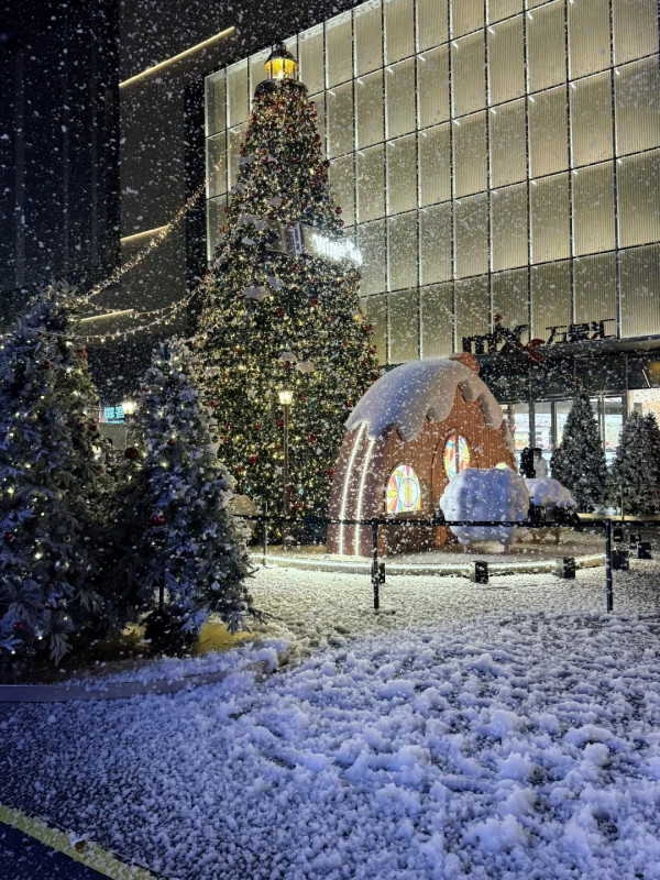 東莞聖誕氣氛好過香港？巨型打卡聖誕樹/市集人山人海 網民：擠不進去 