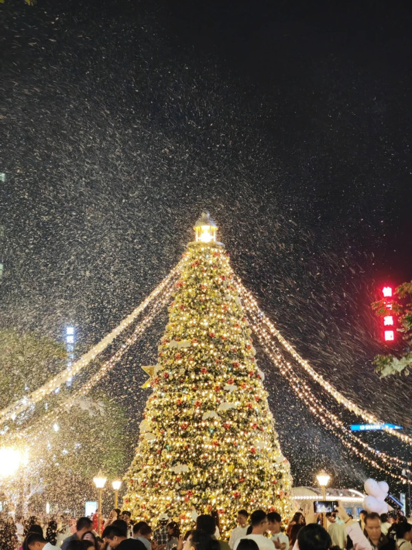 東莞聖誕氣氛好過香港？巨型打卡聖誕樹/市集人山人海 網民：擠不進去 