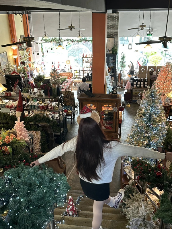 東莞聖誕氣氛好過香港？巨型打卡聖誕樹/市集人山人海 網民：擠不進去 