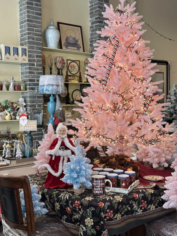 東莞聖誕氣氛好過香港？巨型打卡聖誕樹/市集人山人海 網民：擠不進去 