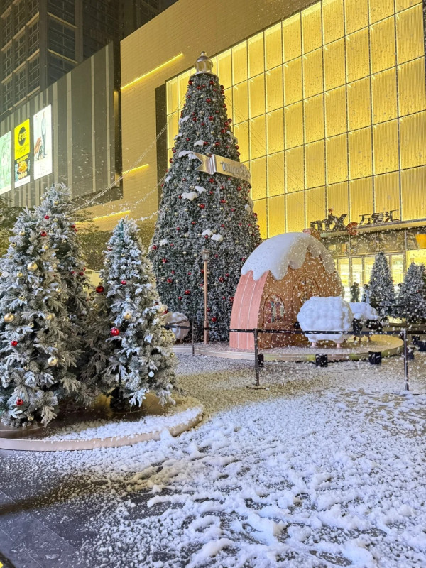 東莞聖誕氣氛好過香港？巨型打卡聖誕樹/市集人山人海 網民：擠不進去 