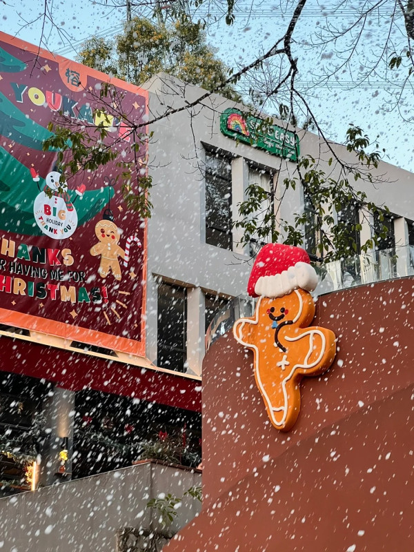 東莞聖誕氣氛好過香港？巨型打卡聖誕樹/市集人山人海 網民：擠不進去 