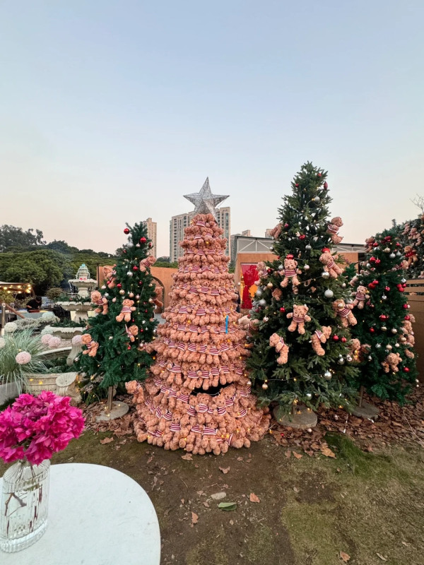 東莞聖誕氣氛好過香港？巨型打卡聖誕樹/市集人山人海 網民：擠不進去 