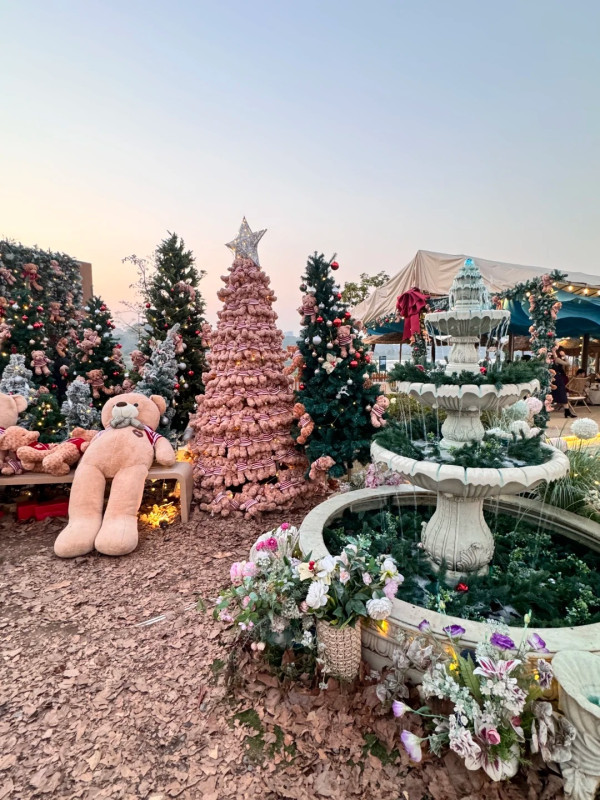 東莞聖誕氣氛好過香港？巨型打卡聖誕樹/市集人山人海 網民：擠不進去 