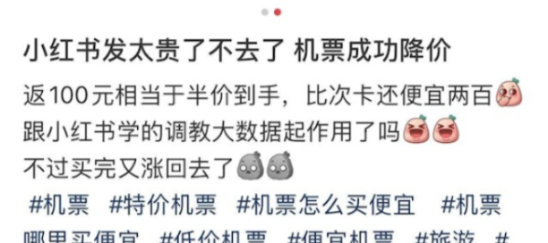 小紅書湧現機票降價攻略 簡單一招即可節省1500元?