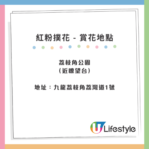 賞花2024｜紅粉撲花盛放！3大賞花地點一覽覆蓋港九新界