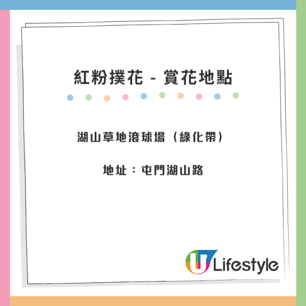 賞花2024｜紅粉撲花盛放！3大賞花地點一覽覆蓋港九新界