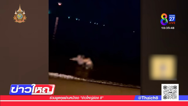 芭提雅沙灘驚現活春宮 中國男與泰女吵架後 以「肉搏」大和解