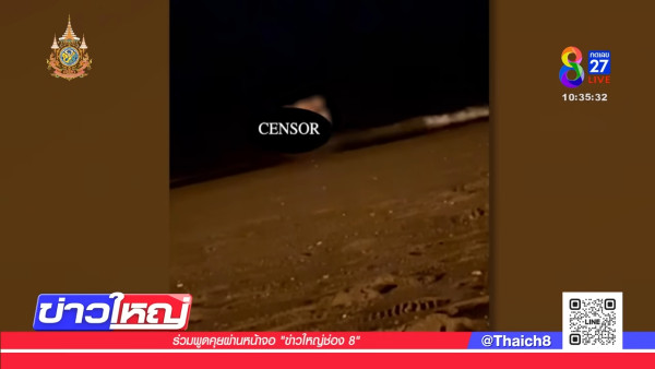 芭提雅沙灘驚現活春宮 中國男與泰女吵架後 以「肉搏」大和解