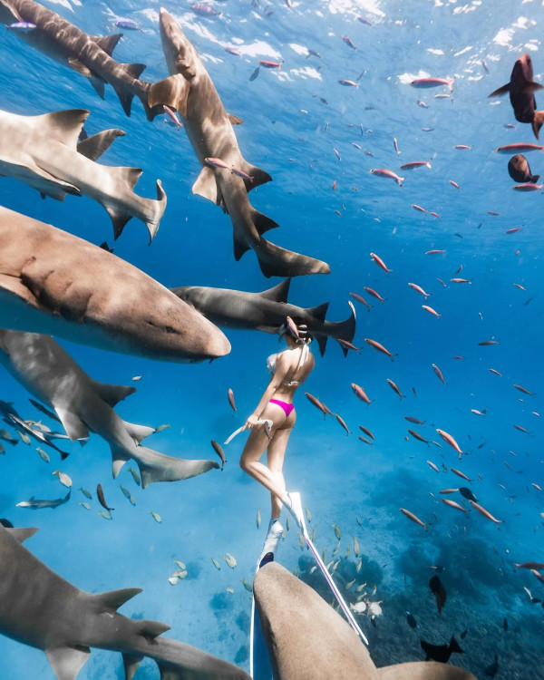 前TVB咪神白雲曬魔鬼身材派福利 轉行做潛水教練 性感照瘋狂挑戰尺度 