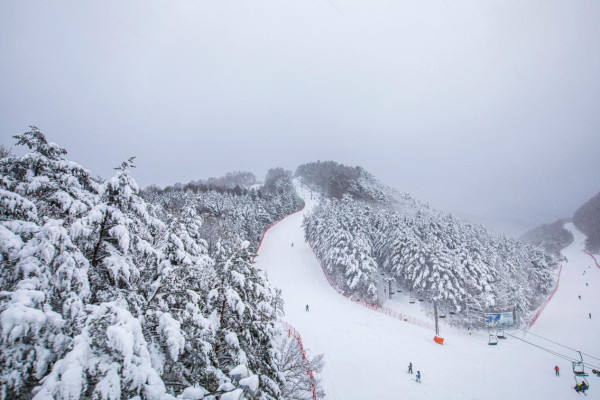 【自遊攻略】探索首爾江原道的冬日奇緣 