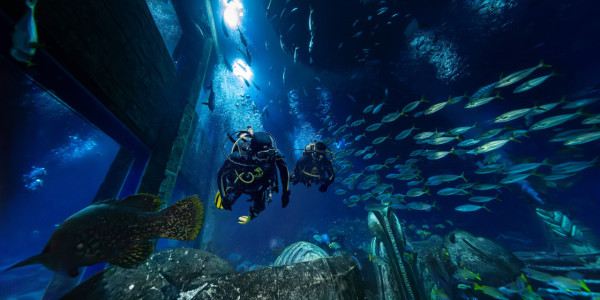 白鯨驚現18嚿腹肌引熱討  健碩身材專家解釋背後真相 