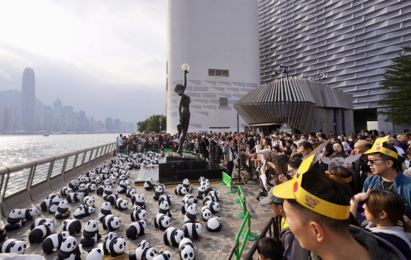 PANDA GO！香港遊（圖片來源：HKET圖片庫）