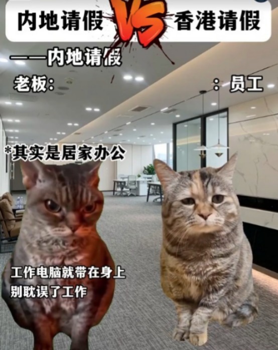 港漂實習生大談本地工作文化！列7大香港職場優勢：公私分明、環境公平 