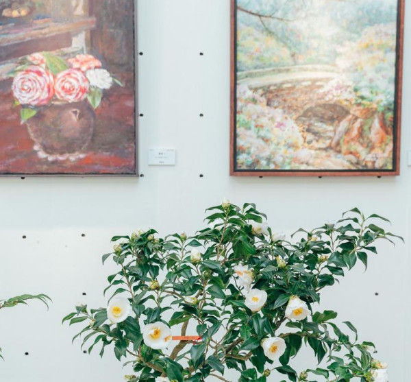 台北茶花展2025（圖片來源︰「花IN台北」官網）