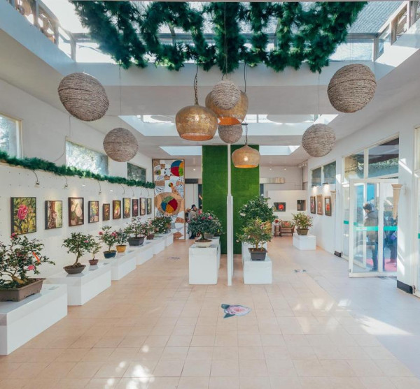 台北茶花展2025（圖片來源︰「花IN台北」官網）