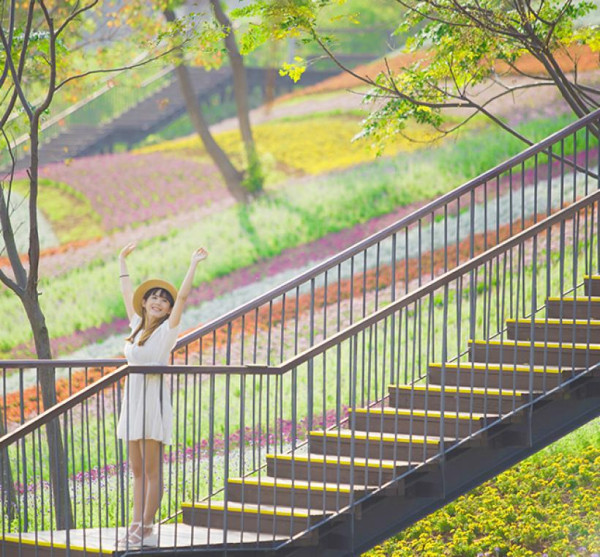 三層崎花海（圖片來源︰「花IN台北」官網）