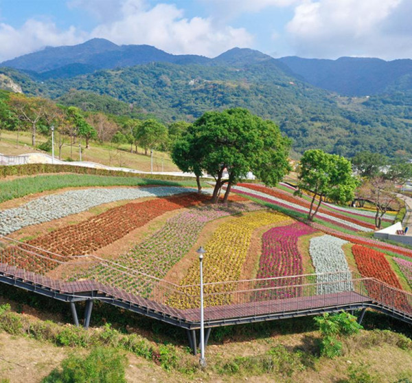 三層崎花海（圖片來源︰「花IN台北」官網）