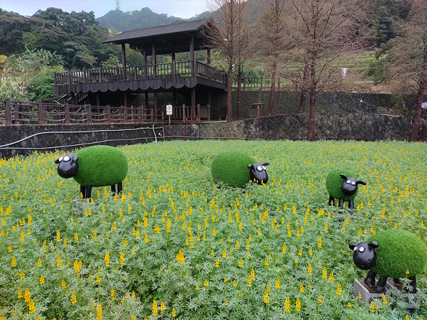 樟樹步道花海（圖片來源︰「花IN台北」官網）