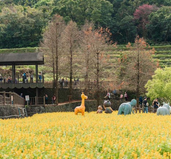 樟樹步道花海（圖片來源︰「花IN台北」官網）