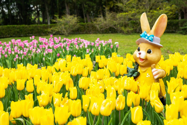 士林官邸鬱金香展（圖片來源︰「花IN台北」官網）