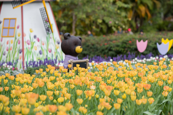 士林官邸鬱金香展（圖片來源︰「花IN台北」官網）