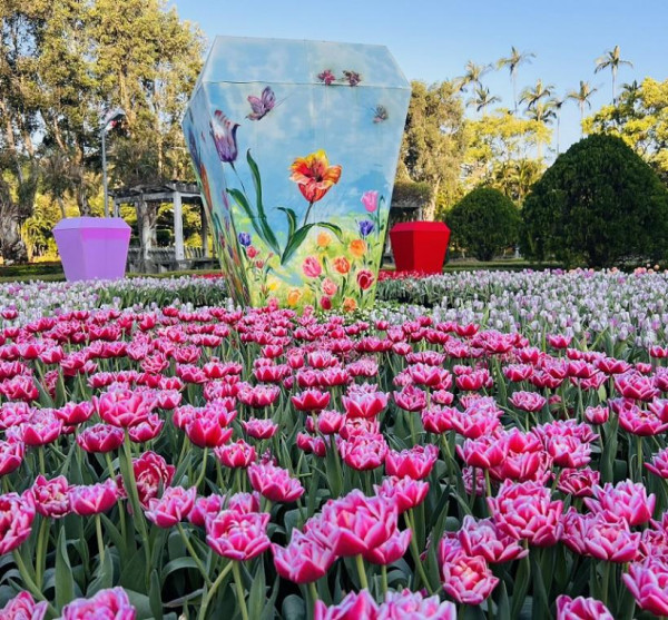 士林官邸鬱金香展（圖片來源︰「花IN台北」官網）