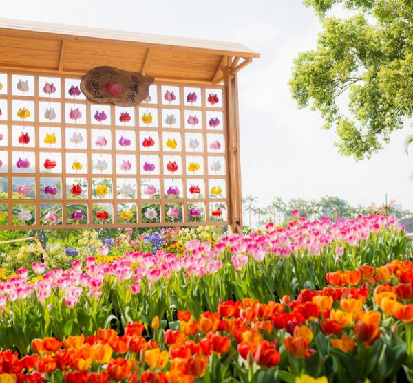 士林官邸鬱金香展（圖片來源︰「花IN台北」官網）