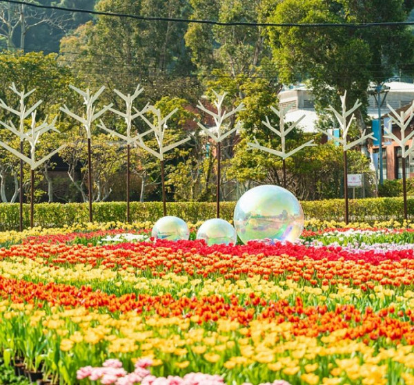士林官邸鬱金香展（圖片來源︰「花IN台北」官網）