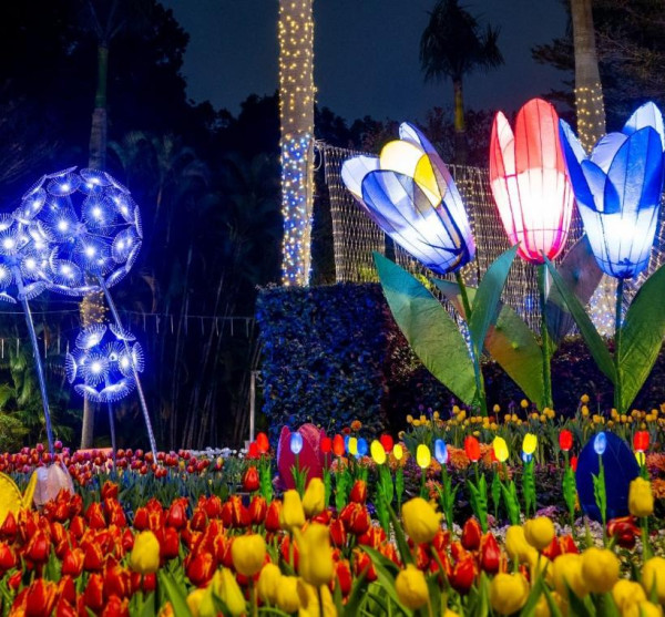 士林官邸鬱金香展（圖片來源︰「花IN台北」官網）