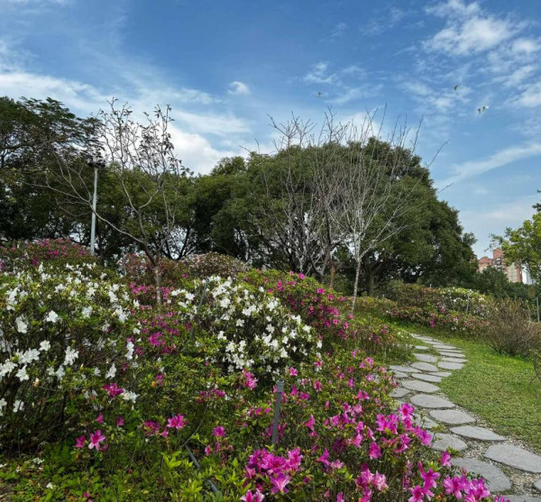 台北杜鵑花季×花伴野餐（圖片來源︰「花IN台北」官網）