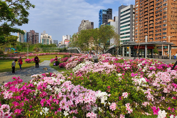 台北杜鵑花季×花伴野餐（圖片來源︰「花IN台北」官網）